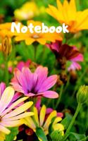 Notebook: Notebook / Diary With Colored Cover - Wide Ruled Line Paper