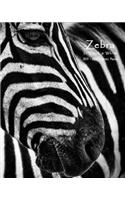Zebra in Black & White 2019-2020 Academic Planner
