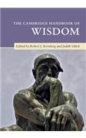 Cambridge Handbook of Wisdom