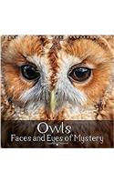 Owls Faces and Eyes of Mystery 2018