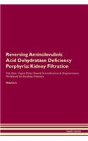 Reversing Aminolevulinic Acid Dehydratase Deficiency Porphyria: Kidney Filtration The Raw Vegan Plant-Based Detoxification & Regeneration Workbook for Healing Patients. Volume 5
