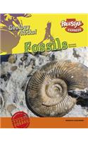 Fossils