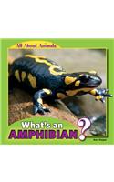 What's an Amphibian?