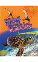 Endangered and Extinct Reptiles