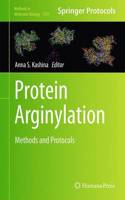 Protein Arginylation