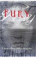 Fury