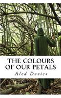 The colours of our petals