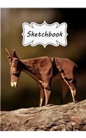 Sketchbook Donkey: Blank Paper for Drawing, Doodling or Sketching (Sketchbooks)