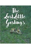 The Lost Little Goslings