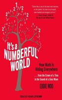 It's a Numberful World Lib/E