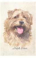 Norfolk Terrier Dog Portrait Notebook