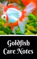 Goldfish Care Notes