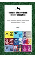 Labralas 20 Milestones: Rescue & Adoption: Labralas Milestones for Memorable Moments, Rescue, Adoption, Socialization & Training Volume 1