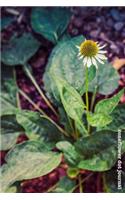 Coneflower Dot Journal