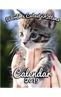 World's Cutest Kittens Calendar 2019: Full-Color Portrait-Style Desk Calendar