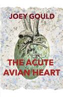 Acute Avian Heart