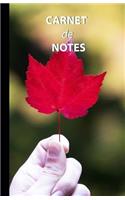 Carnet de Notes: carnet de notes original & personnel