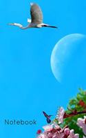 Notebook: Blue Heron Crane Book Notepad Notebook Composition and Journal Gratitude Diary