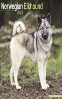 Norwegian Elkhound 2023 Wall Calendar