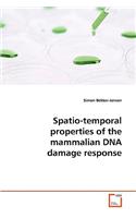 Spatio-temporal properties of the mammalian DNA damage response