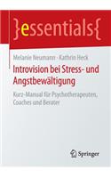 Introvision Bei Stress- Und Angstbewältigung: Kurz-Manual Für Psychotherapeuten, Coaches Und Berater