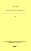 Karlburg - Rosstal - Oberammerthal. Studien Zum Fruehmittelalterlichen Burgenbau in Nordbayern