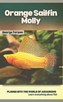 Orange Sailfin Molly