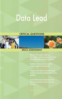 Data Lead Critical Questions Skills Assessment