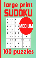 Large Print Sudoku 100 Puzzles Medium