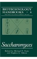 Saccharomyces