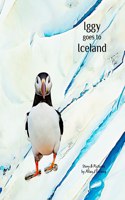 Iggy goes to Iceland