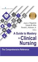 Guide to Mastery in Clinical Nursing