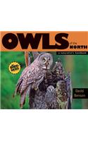 Owls of the North