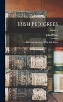Irish Pedigrees