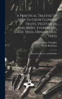 Practical Treatise Of How To Grow Flowers, Fruits, Vegetables, Shrubbery, Evergreens, Shade Trees, Ornamental Trees: Plant Pests, Diseases And Remedies
