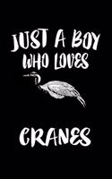 Just A Boy Who Loves Cranes