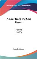 A Leaf from the Old Forest