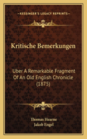 Kritische Bemerkungen