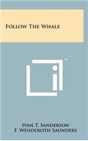 Follow the Whale