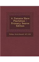 A Jamaica Slave Plantation - Primary Source Edition: (English)