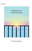 Elements of Consciousness