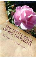 The Little Book of BIG Thoughts - Vol. 2