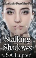 Stalking Shadows: (The Scary Mary)