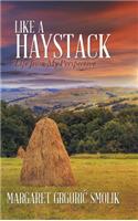Like a Haystack: Life from My Perspective