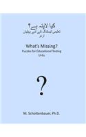 What's Missing? Puzzles for Educational Testing