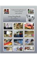 Professional Applications of Animal Assisted Interventions: Gray Dog Collection