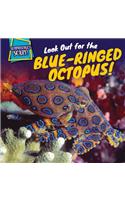 Look Out for the Blue-Ringed Octopus!
