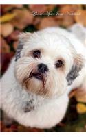 Lhasa Apso June Notebook Lhasa Apso Record, Log, Diary, Special Memories, To Do List, Academic Notepad, Scrapbook & More