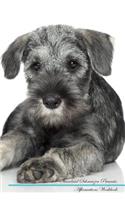 Standard Schnauzer Affirmations Workbook Standard Schnauzer Presents: Positive and Loving Affirmations Workbook. Includes: Mentoring Questions, Guidance, Supporting You.