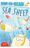 Sea Sheep